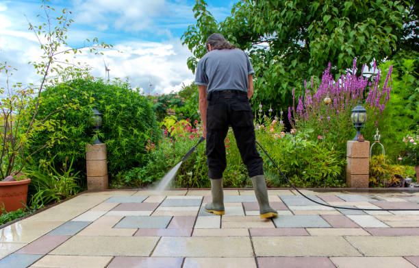Best Driveway Pressure Washing  in Neshanic Station, NJ